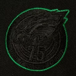 Mitchell & Ness Snapback-Tc Bottoms Snapback Philadelphia Eagles