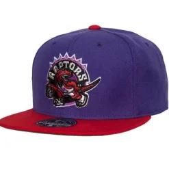 Mitchell & Ness Fitted-Team 2 Tone 2.0 Fitted Hat Hwc Toronto Raptors