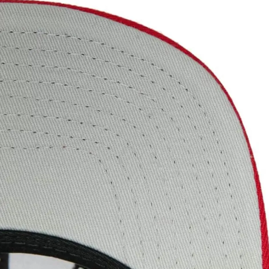 Mitchell & Ness Snapback-Team 2 Tone 2.0 Snapback Nba Toronto Raptors