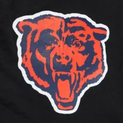 Men Mitchell & Ness Shorts-Team Essentials Nylon Shorts Chicago Bears