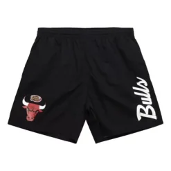 Men Mitchell & Ness Shorts-Team Essentials Nylon Shorts Chicago Bulls