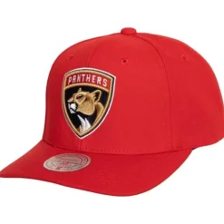 Mitchell & Ness Snapback-Team Ground 2.0 Pro Snapback Florida Panthers