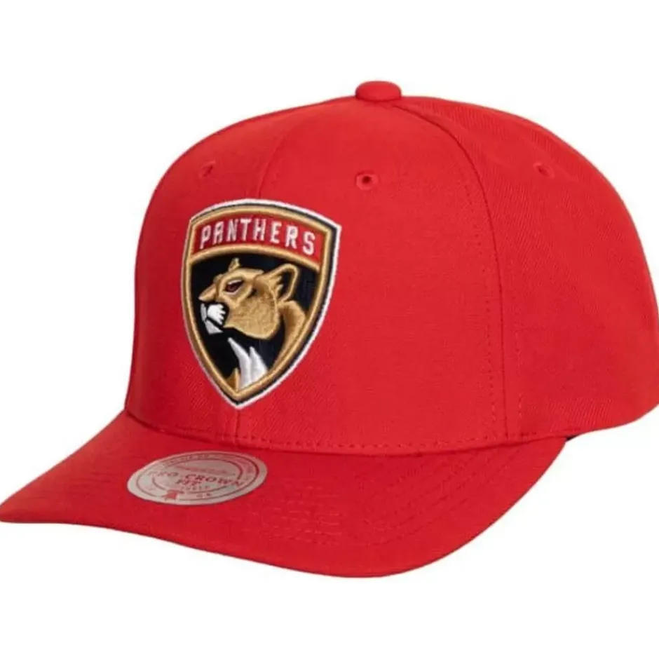 Mitchell & Ness Snapback-Team Ground 2.0 Pro Snapback Florida Panthers