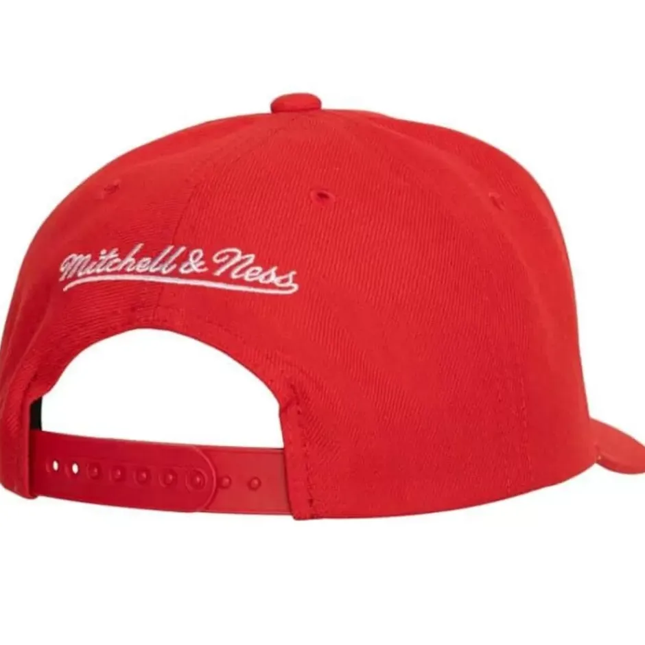 Mitchell & Ness Snapback-Team Ground 2.0 Pro Snapback Florida Panthers