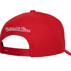 Mitchell & Ness Snapback-Team Ground 2.0 Pro Snapback Detroit Red Wings