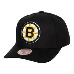 Mitchell & Ness Snapback-Team Ground 2.0 Pro Snapback Boston Bruins