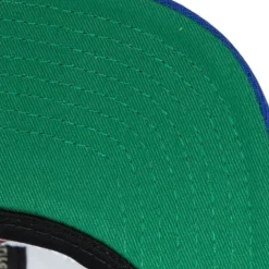 Mitchell & Ness Snapback-Team Ground 2.0 Snapback Hwc Sacramento Kings