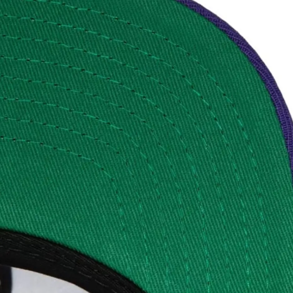 Mitchell & Ness Snapback-Team Ground 2.0 Snapback Hwc Toronto Raptors