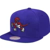 Mitchell & Ness Snapback-Team Ground Snapback Toronto Raptors