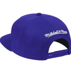 Mitchell & Ness Snapback-Team Ground Snapback Toronto Raptors