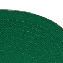 Mitchell & Ness Snapback-Team Heather 2.0 Snapback Hwc Vancouver Grizzlies