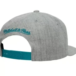 Mitchell & Ness Snapback-Team Heather 2.0 Snapback Hwc Charlotte Hornets