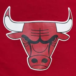 Men Mitchell & Ness Shorts-Team Heritage Woven Short Chicago Bulls