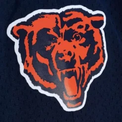 Men Mitchell & Ness Shorts-Team Id Mesh Shorts Chicago Bears