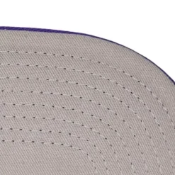 Mitchell & Ness Snapback-Team Insider Snapback Hwc Charlotte Hornets