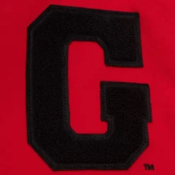 Men Mitchell & Ness Hoodies & Sweatshirts-Team Legacy French Terry Hoodie University Of Georgia