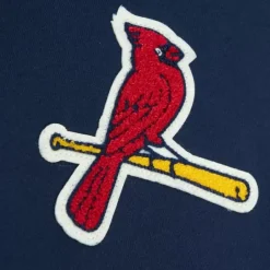 Men Mitchell & Ness Hoodies & Sweatshirts-Team Legacy French Terry Hoodie St. Louis Cardinals
