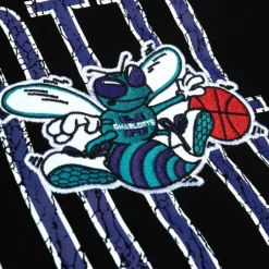 Men Mitchell & Ness Hoodies & Sweatshirts-Team Og Fleece 2.0 Charlotte Hornets
