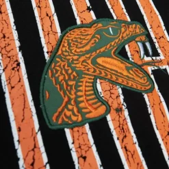 Men Mitchell & Ness Hoodies & Sweatshirts-Team Og Fleece Hoodie Florida A&M University