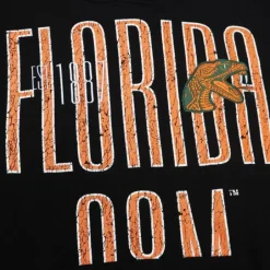 Men Mitchell & Ness Hoodies & Sweatshirts-Team Og Fleece Hoodie Florida A&M University