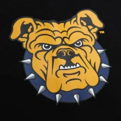 Men Mitchell & Ness Hoodies & Sweatshirts-Team Og Fleece Hoodie North Carolina A&T University