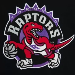 Men Mitchell & Ness Hoodies & Sweatshirts-Team Origins Fleece Hoody Toronto Raptors