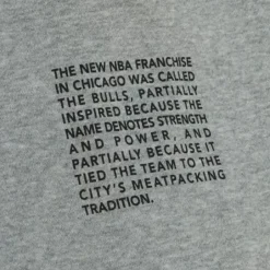 Men Mitchell & Ness Pants-Team Origins Fleece Pant Chicago Bulls