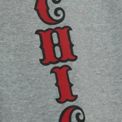 Men Mitchell & Ness Pants-Team Origins Fleece Pant Chicago Bulls