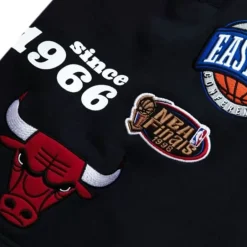 Men Mitchell & Ness Shorts-Team Origins Fleece Short Chicago Bulls