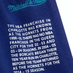 Men Mitchell & Ness Shorts-Team Origins Fleece Short Charlotte Hornets