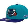 Mitchell & Ness Snapback-Team Origins Snapback Hwc Charlotte Hornets