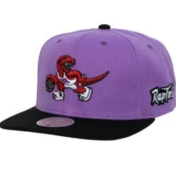 Mitchell & Ness Snapback-Team Origins Snapback Hwc Toronto Raptors