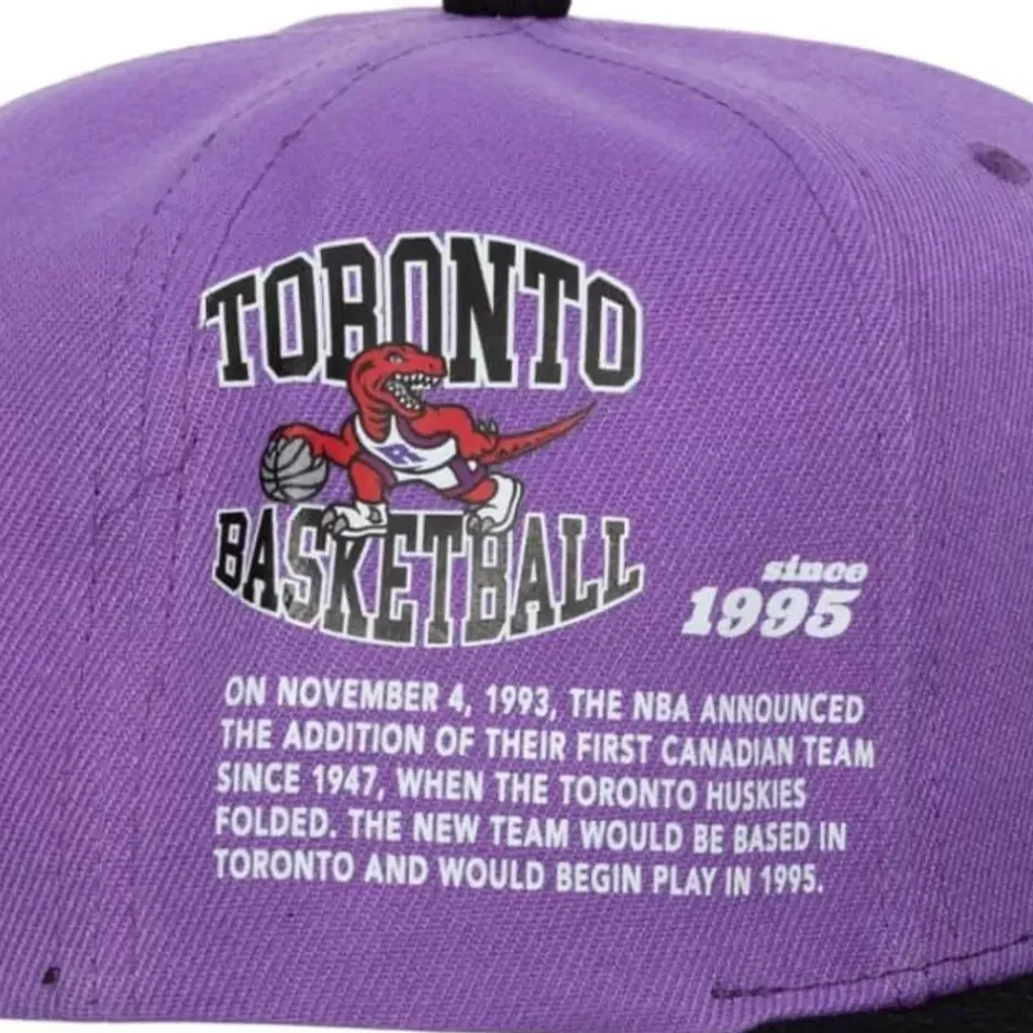 Mitchell & Ness Snapback-Team Origins Snapback Hwc Toronto Raptors