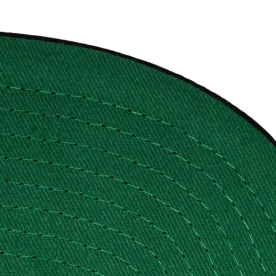 Mitchell & Ness Snapback-Team Origins Snapback Hwc Toronto Raptors