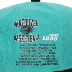Mitchell & Ness Snapback-Team Origins Snapback Hwc Vancouver Grizzlies