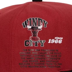 Mitchell & Ness Snapback-Team Origins Snapback Hwc Chicago Bulls