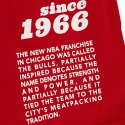 Men Mitchell & Ness T-Shirts & Tops-Team Origins S/S Top Chicago Bulls