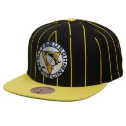 Mitchell & Ness Snapback-Team Pin Snapback Pittsburgh Penguins