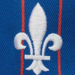 Mitchell & Ness Snapback-Team Pin Snapback Quebec Nordiques