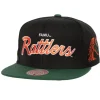 Mitchell & Ness Snapback-Team Script 2.0 Snapback Florida A&M University