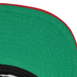 Mitchell & Ness Snapback-Team Script 2.0 Snapback Hwc Chicago Bulls