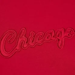Men Mitchell & Ness Hoodies & Sweatshirts-Tonal Logo Heavyweight Fleece Chicago Bulls