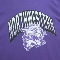 Men Mitchell & Ness T-Shirts & Tops-University Arch Logo Ls Tee Northwestern University