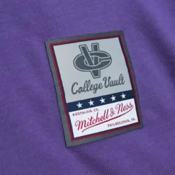 Men Mitchell & Ness T-Shirts & Tops-University Arch Logo Ls Tee Northwestern University