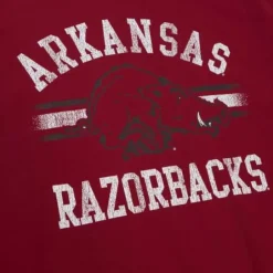 Men Mitchell & Ness T-Shirts & Tops-Vintage Stripes Tee University Of Arkansas