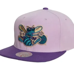 Mitchell & Ness Snapback-Violet Views Snapback Hwc Charlotte Hornets