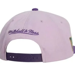 Mitchell & Ness Snapback-Violet Views Snapback Hwc Charlotte Hornets