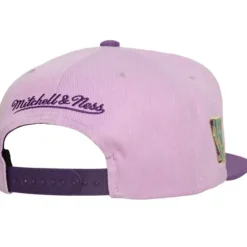 Mitchell & Ness Snapback-Violet Views Snapback Hwc Toronto Raptors