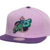 Mitchell & Ness Snapback-Violet Views Snapback Hwc Seattle Supersonics