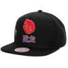 Mitchell & Ness Snapback-Water Tiger Snapback Hwc Toronto Raptors